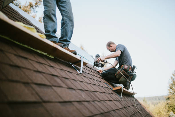 Roof Repair Estimates in Spring Lake Park, MN