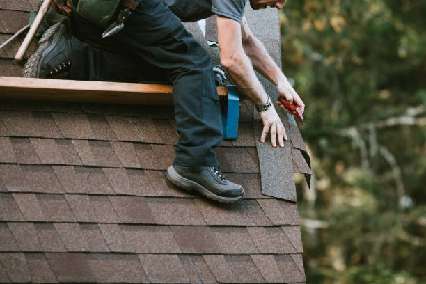 Best Roof Gutter Cleaning  in Spring Lake Park, MN
